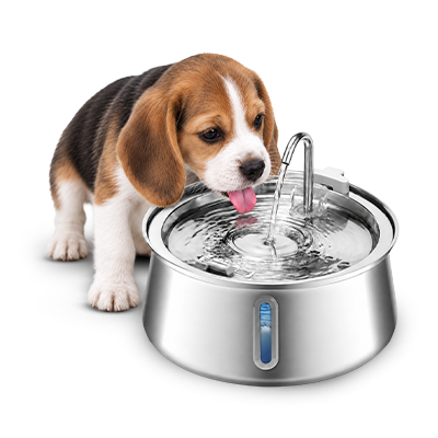 FounTaiL – Triple Filtration and Fresh Running Water for Dogs